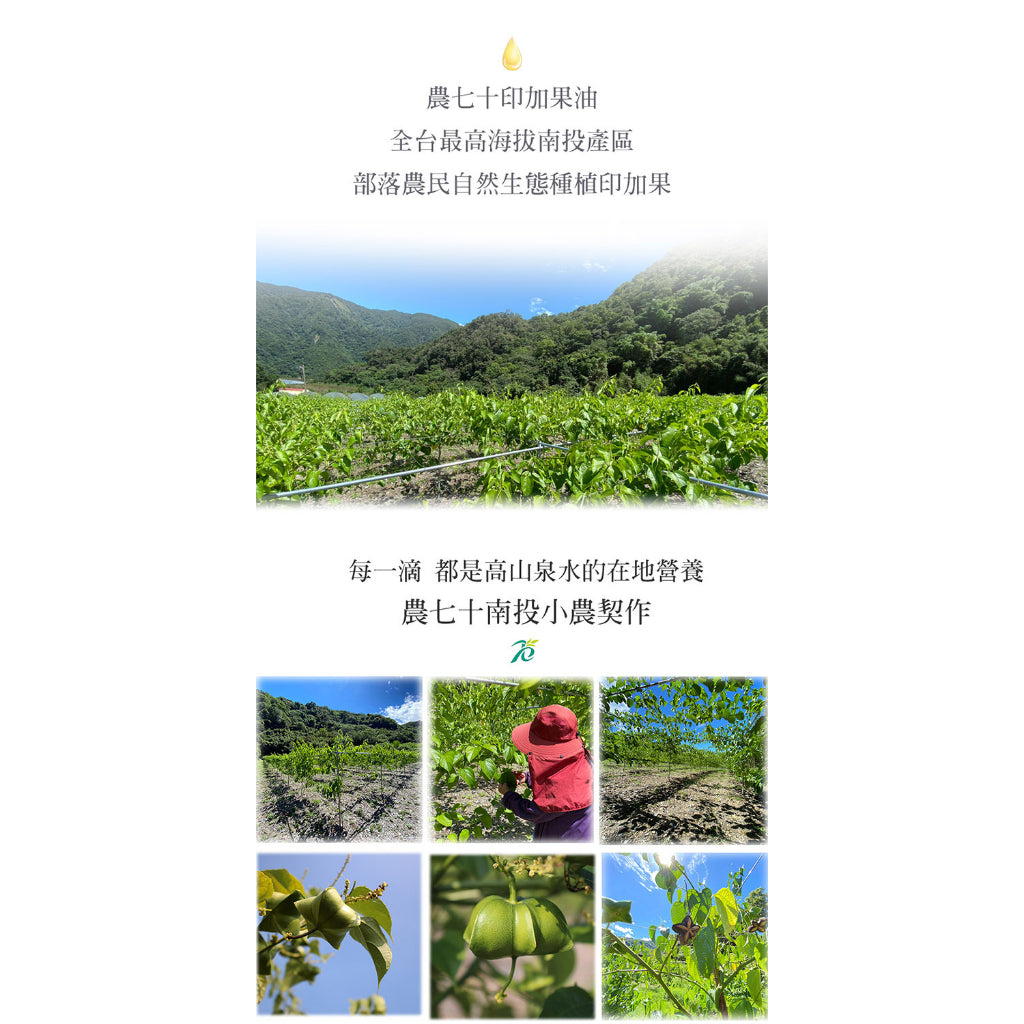 TAIWAN SACHA INCHI OIL CAPSULE 美益纖印加果膠囊(60粒)