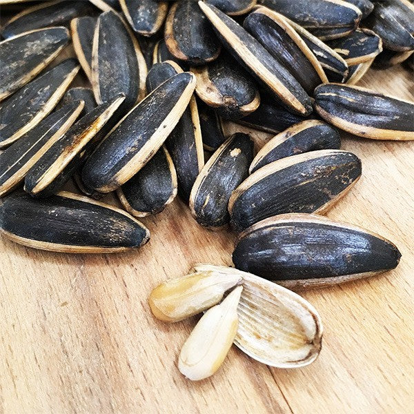 TAIWAN - Sunflower seed with Sun Moon Lake Black Tea Flavor - 盛香珍豐葵香瓜子日月潭紅茶味 225g/pack