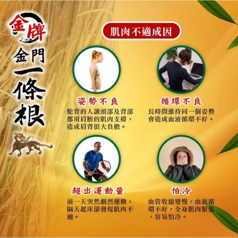 TAIWAN - JINMEN YI TIAO GEN Essential Oil Spray - 金牌金門一條根精油噴劑 120ml